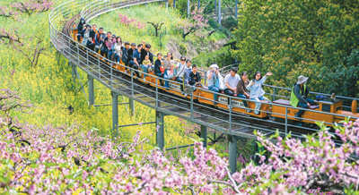 钱坛子 文旅春意旺，消费活力足