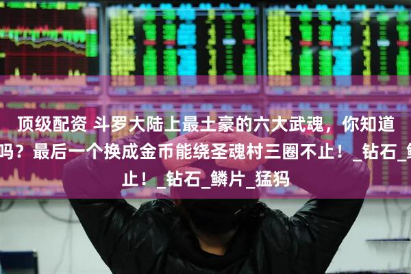 顶级配资 斗罗大陆上最土豪的六大武魂，你知道都是什么吗？最后一个换成金币能绕圣魂村三圈不止！_钻石_鳞片_猛犸