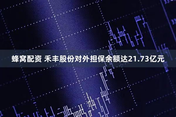 蜂窝配资 禾丰股份对外担保余额达21.73亿元