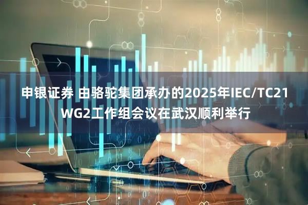 申银证券 由骆驼集团承办的2025年IEC/TC21 WG2工作组会议在武汉顺利举行