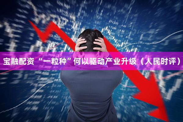 宝融配资 “一粒种”何以驱动产业升级（人民时评）